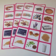 Allergy cards - Set of 3 for Anaphylaxis Training